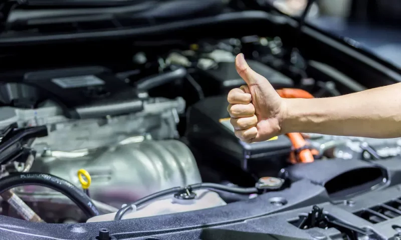 5b645b72dce2e921008b49c3 5b645b72dce2e921008b49c3